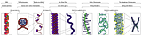 Chromatin_Structures.png image by frederick36_